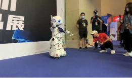 wankz视频,带你领略虚拟现实成人娱乐的无限魅力